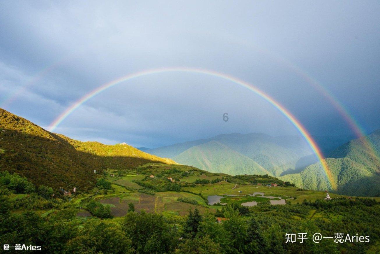 面向智能人机交互的卷积神经网络驱动的高性能多功能电子皮肤