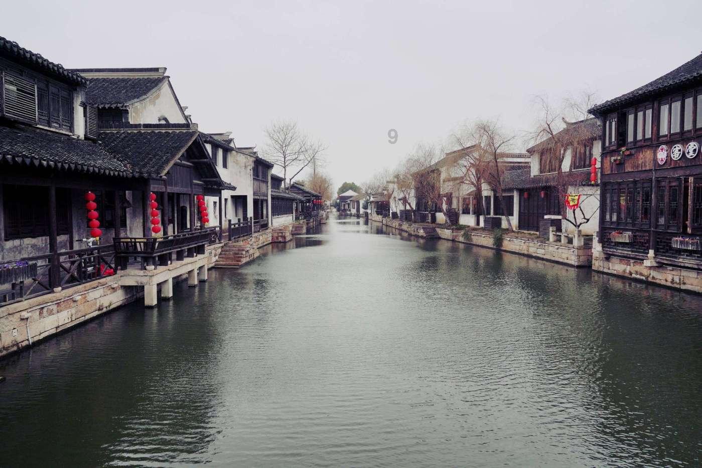 救援鹦鹉